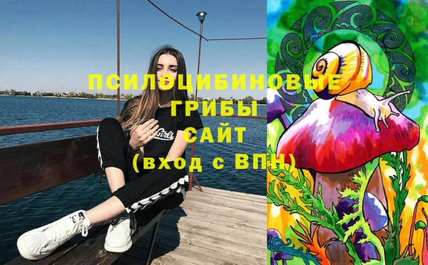 a pvp Алексин