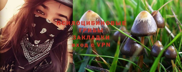 герыч Алзамай