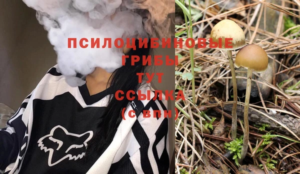 герыч Алзамай